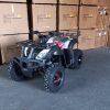 Off road automata felnőtt quad Tao Bull 200cc