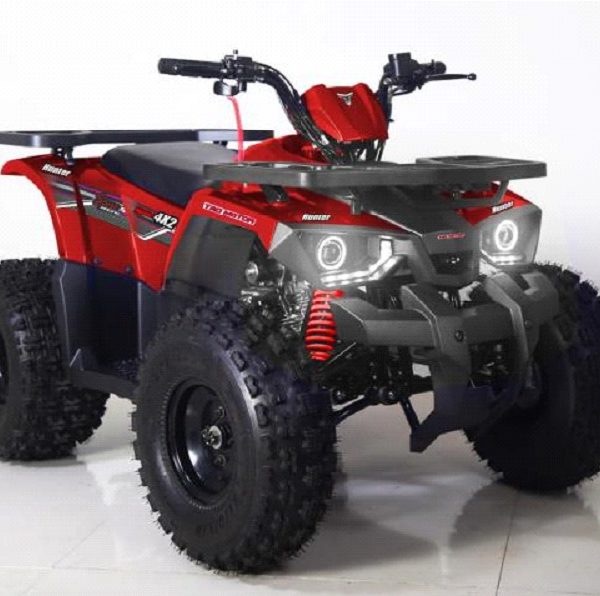 Off road gyerek quad 125cc Tao Hunter Bordó